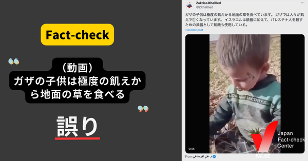 ガザの子供が極度の飢えから地面の草を食べる動画？【ファクトチェック】