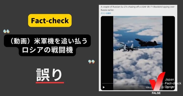 (動画)「米軍機を追い払うロシアの戦闘機」は誤り シミュレーションゲームの映像【ファクトチェック】